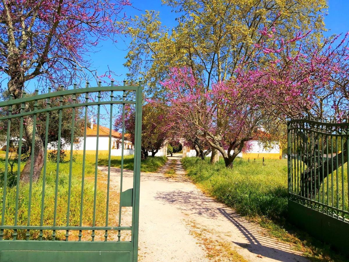 Casas Herdade Do Convento Da Serra Almeirim Bagian luar foto