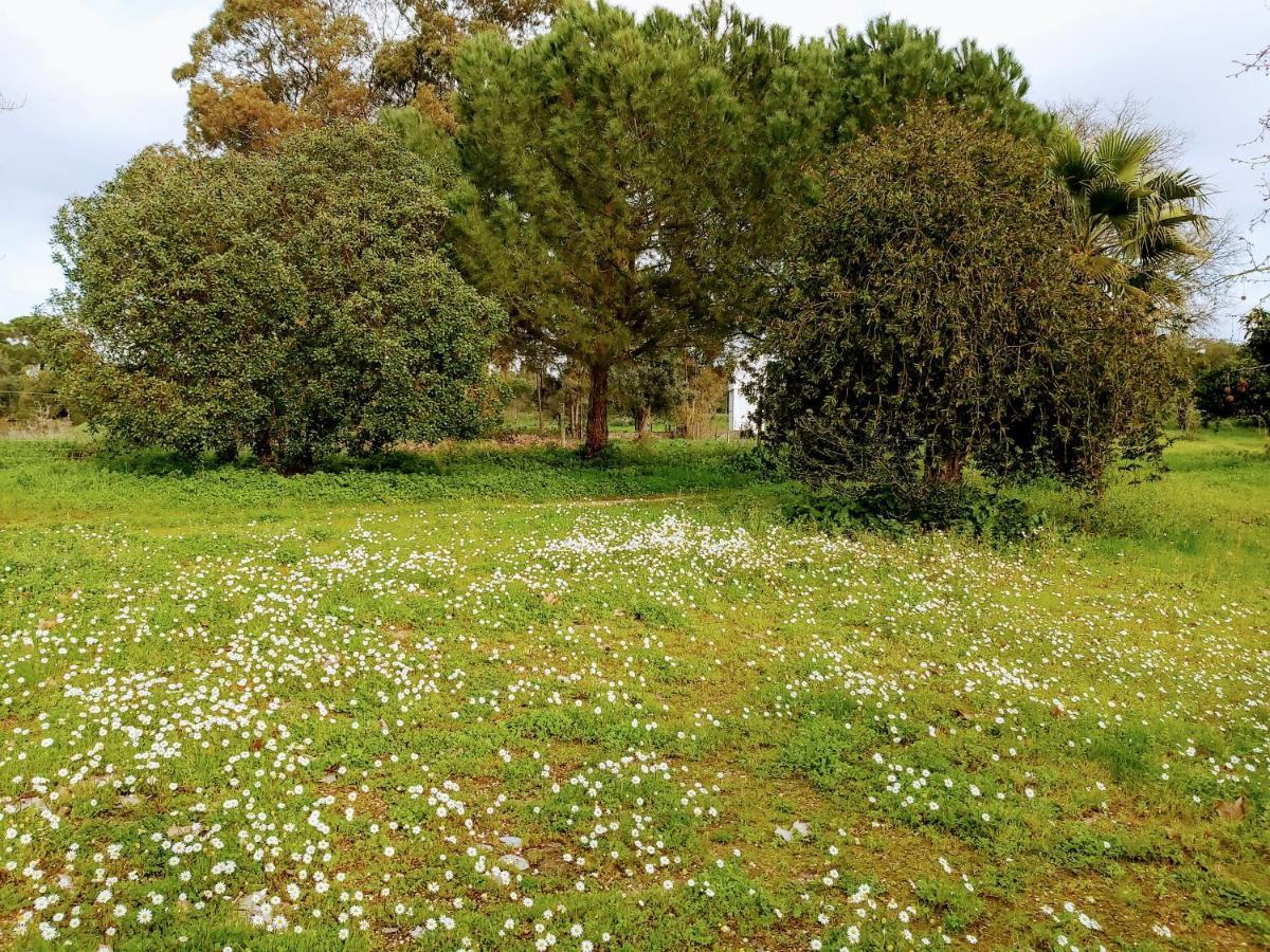 Casas Herdade Do Convento Da Serra Almeirim Bagian luar foto