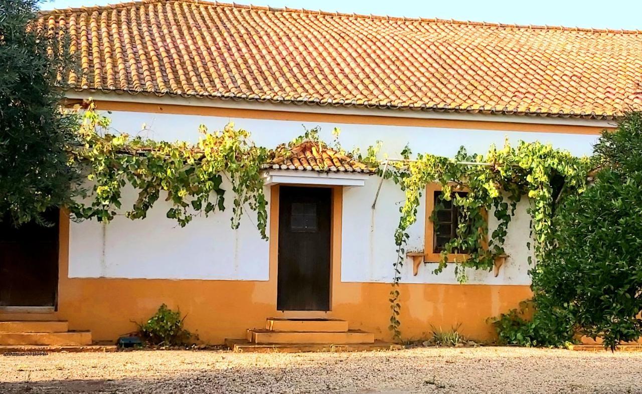Casas Herdade Do Convento Da Serra Almeirim Bagian luar foto