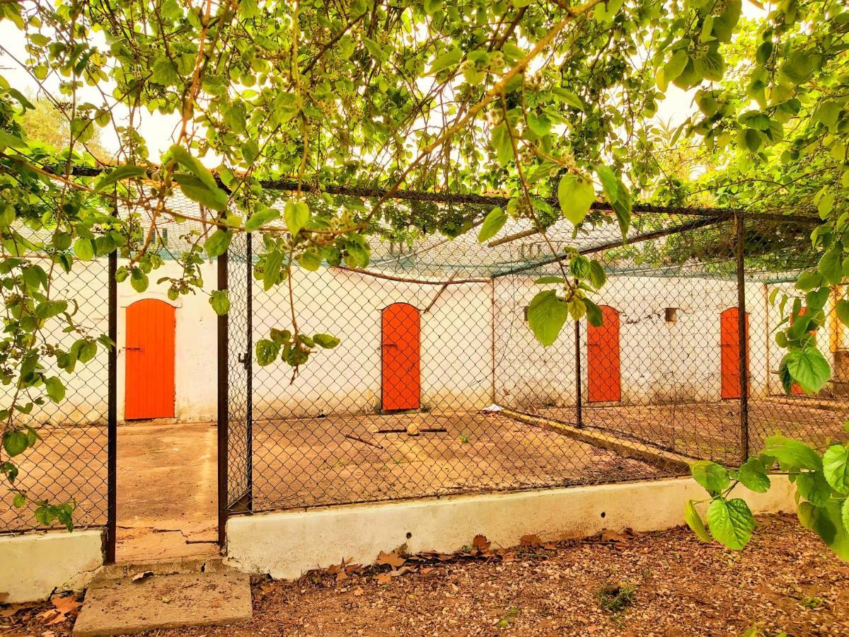 Casas Herdade Do Convento Da Serra Almeirim Bagian luar foto