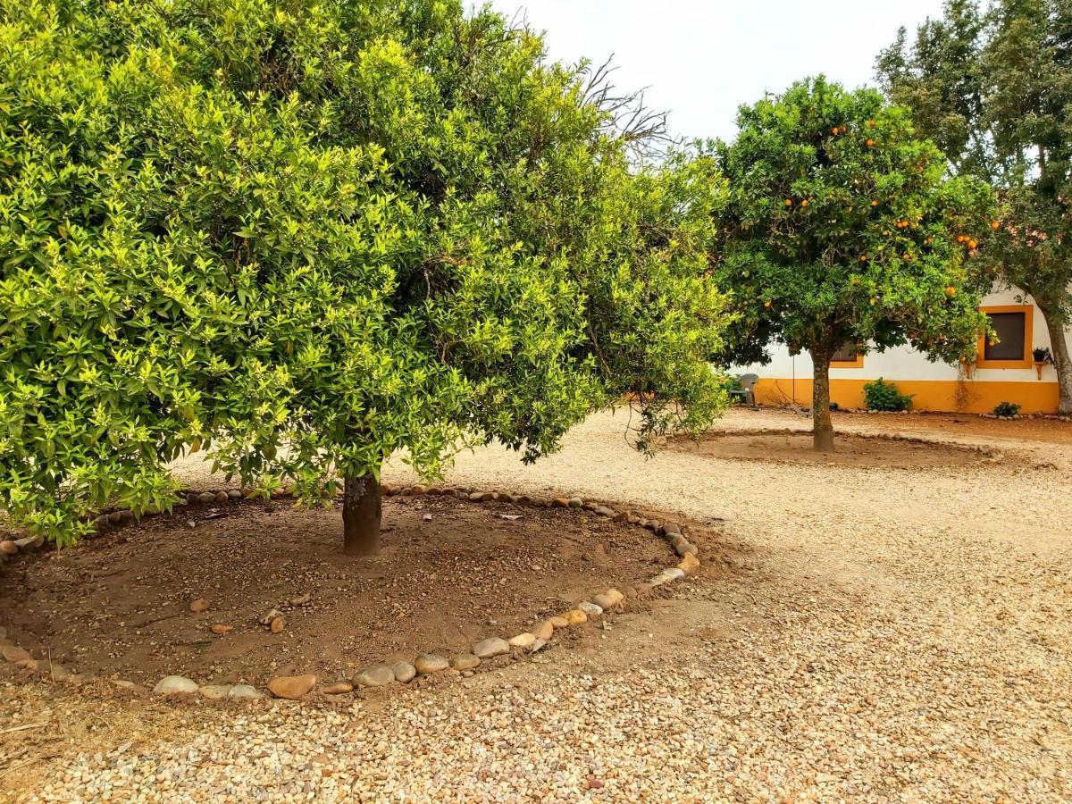 Casas Herdade Do Convento Da Serra Almeirim Bagian luar foto