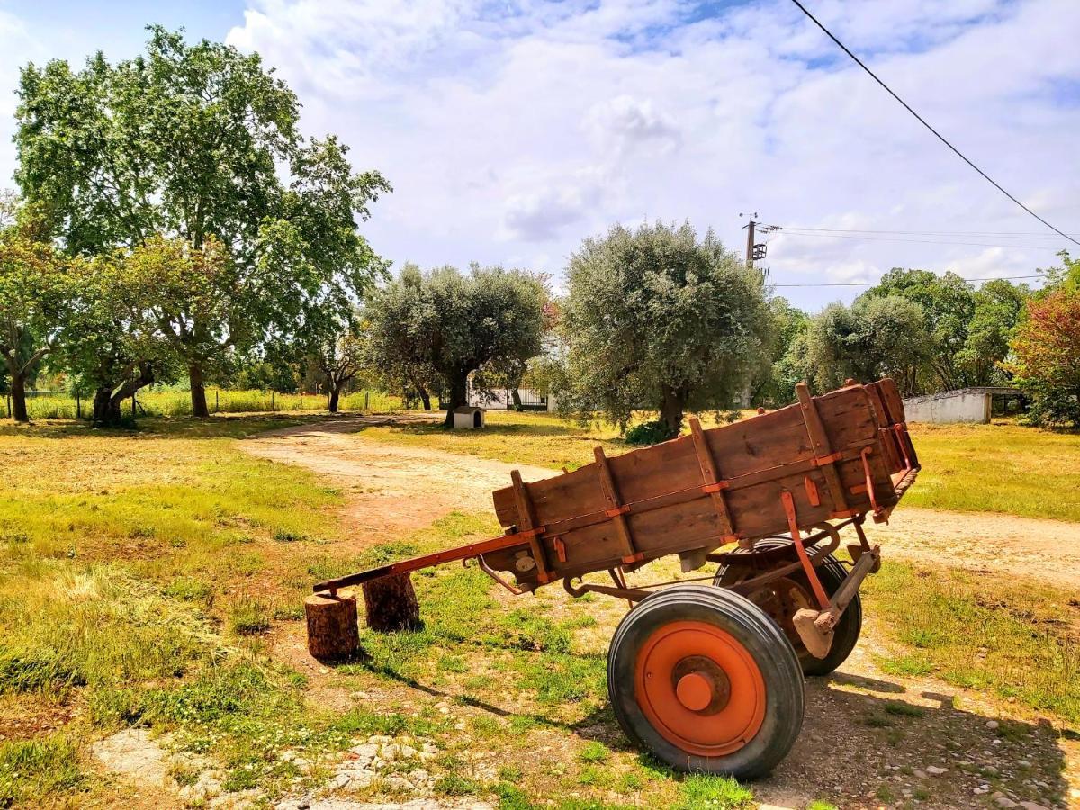 Casas Herdade Do Convento Da Serra Almeirim Bagian luar foto