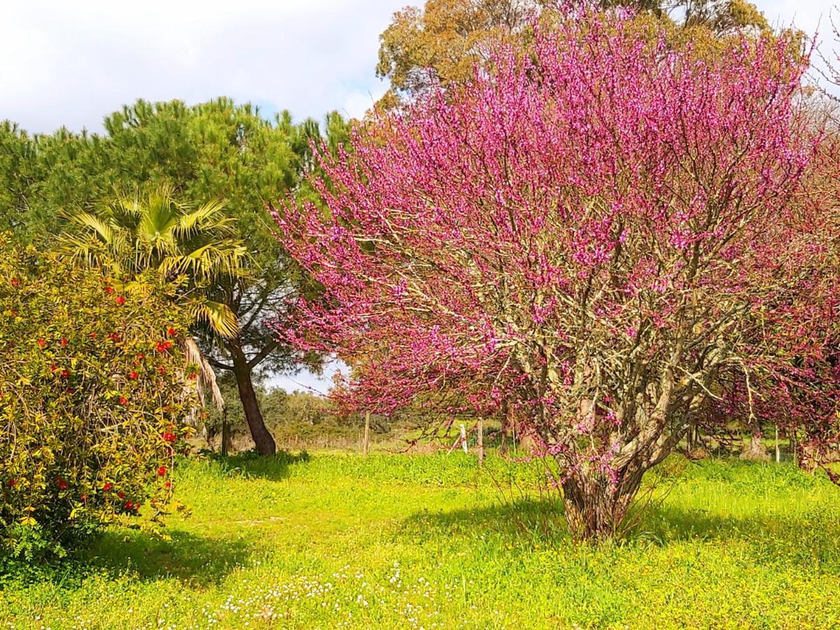 Casas Herdade Do Convento Da Serra Almeirim Bagian luar foto