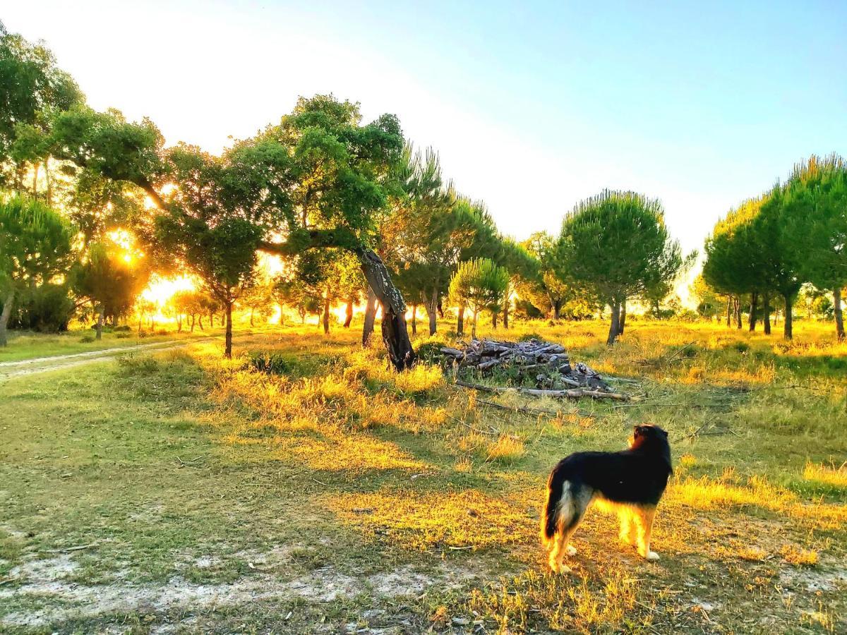 Casas Herdade Do Convento Da Serra Almeirim Bagian luar foto