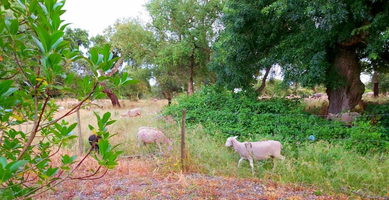 Casas Herdade Do Convento Da Serra Almeirim Bagian luar foto