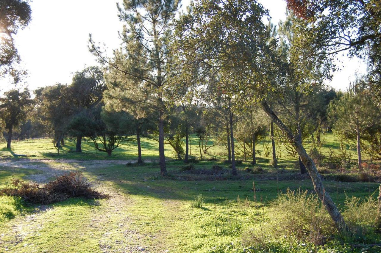 Casas Herdade Do Convento Da Serra Almeirim Bagian luar foto