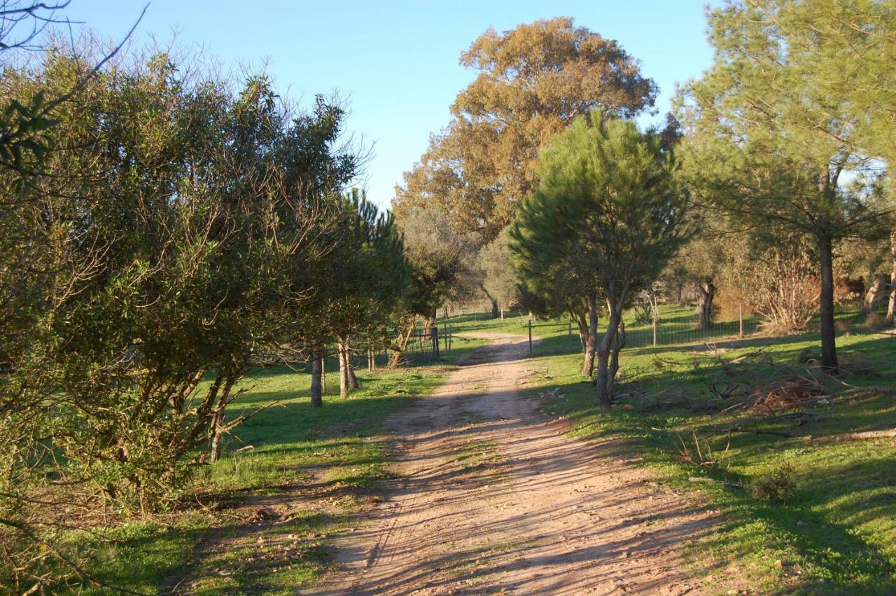 Casas Herdade Do Convento Da Serra Almeirim Bagian luar foto